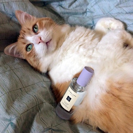 Rusty and Jo Malone Lavender and Musk Pillow Mist