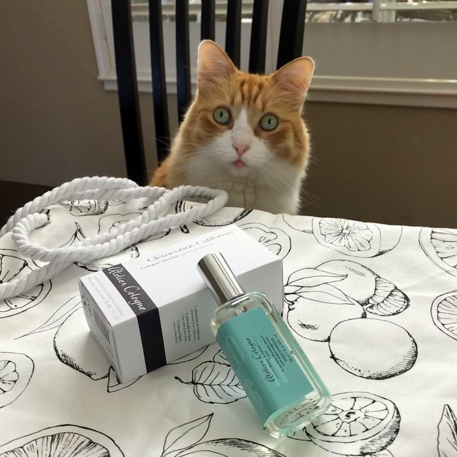 Rusty and Atelier Cologne Clementine California