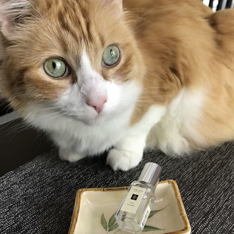 Rusty and Jo Malone Yuja