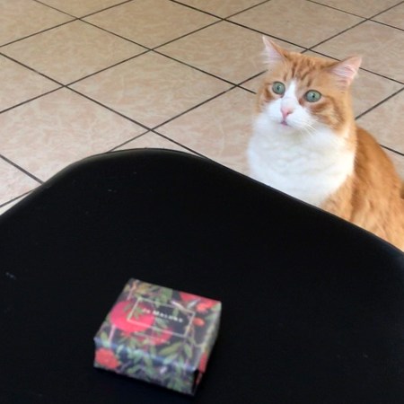 Rusty and Jo Malone Pomegranate Noir Soap