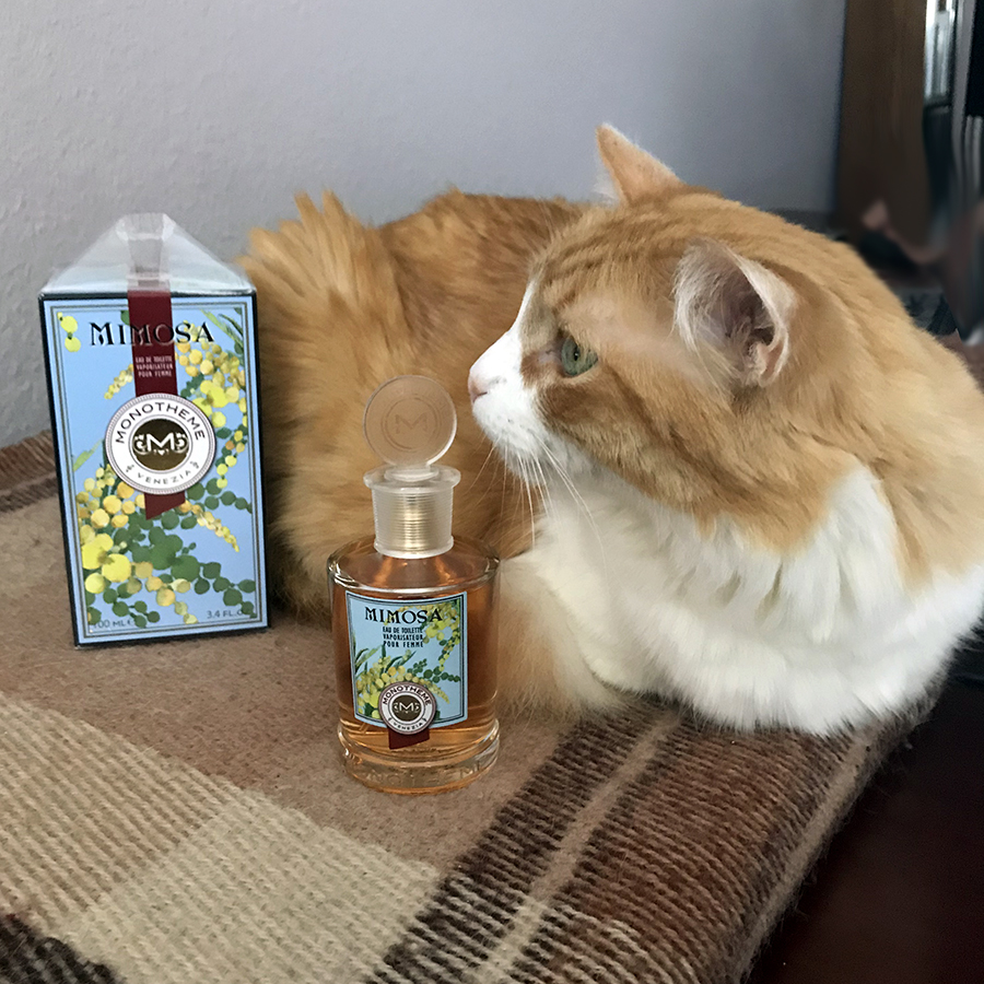 Rusty and Monotheme Mimosa