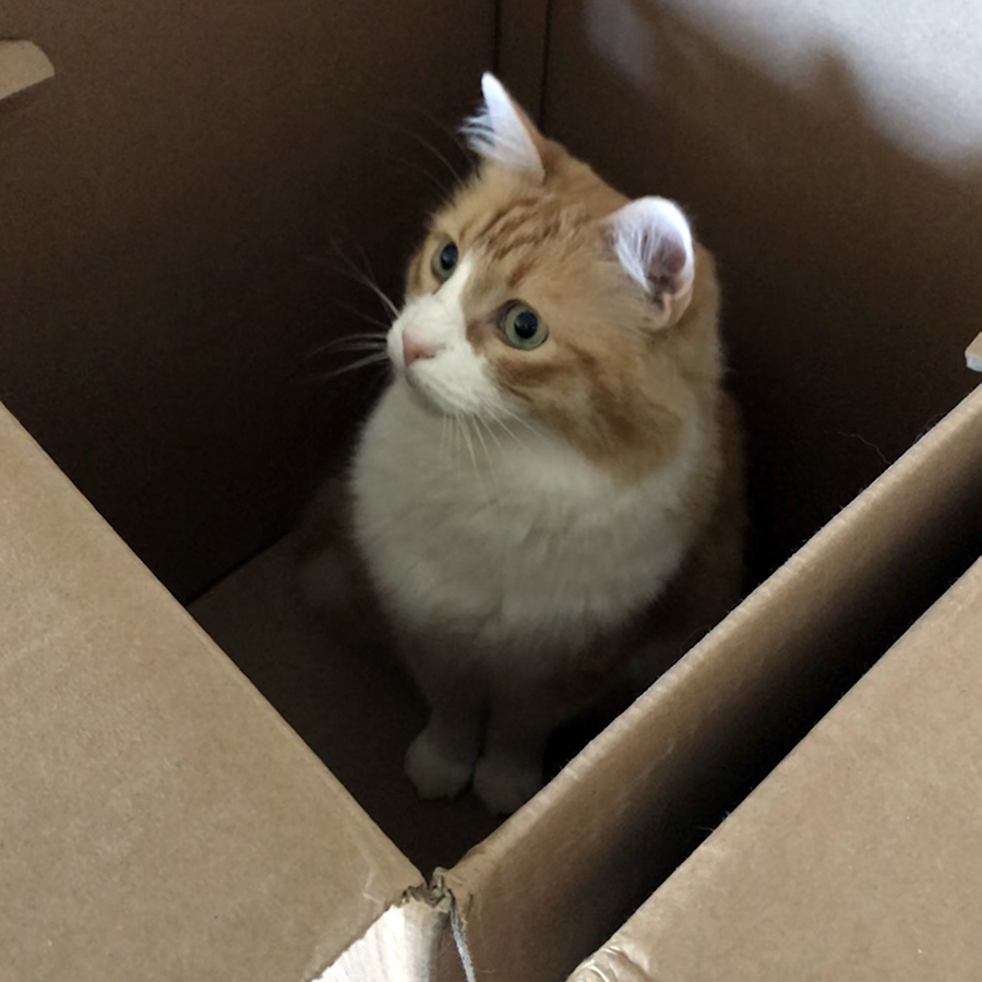 Rusty in a Box