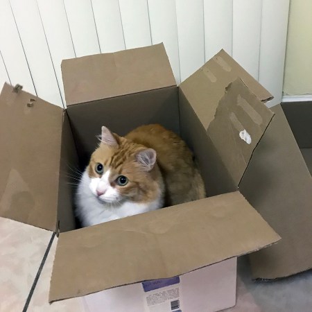 Rusty in a Box