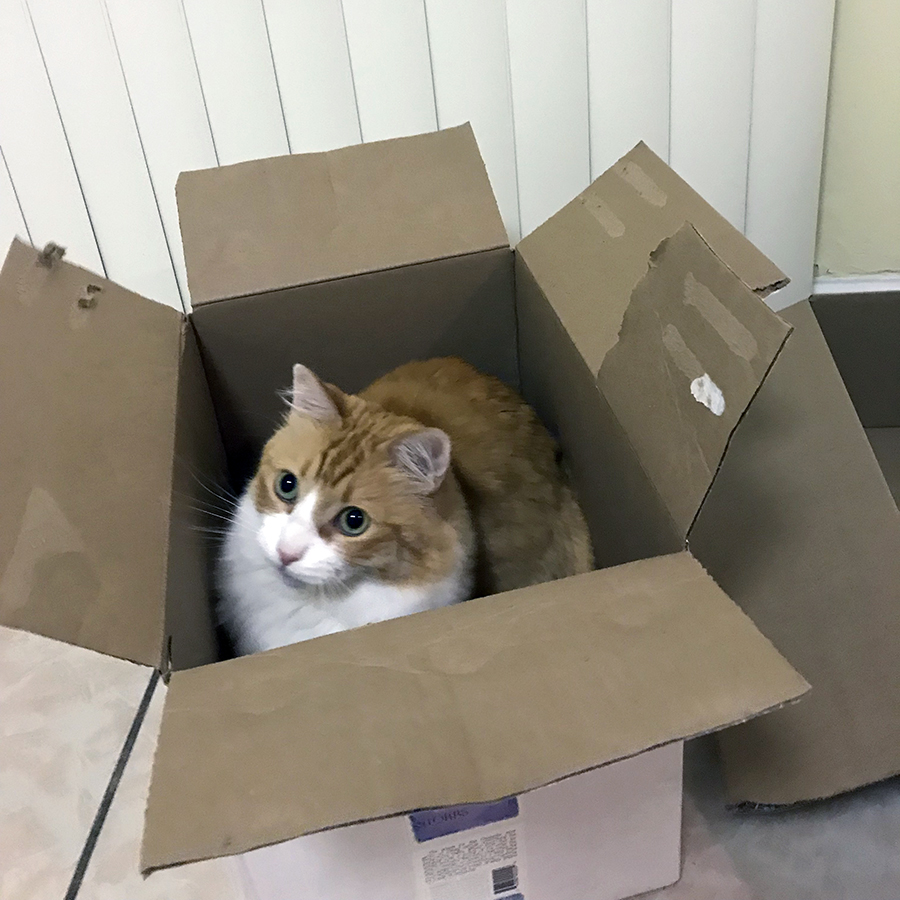 Rusty in a Box