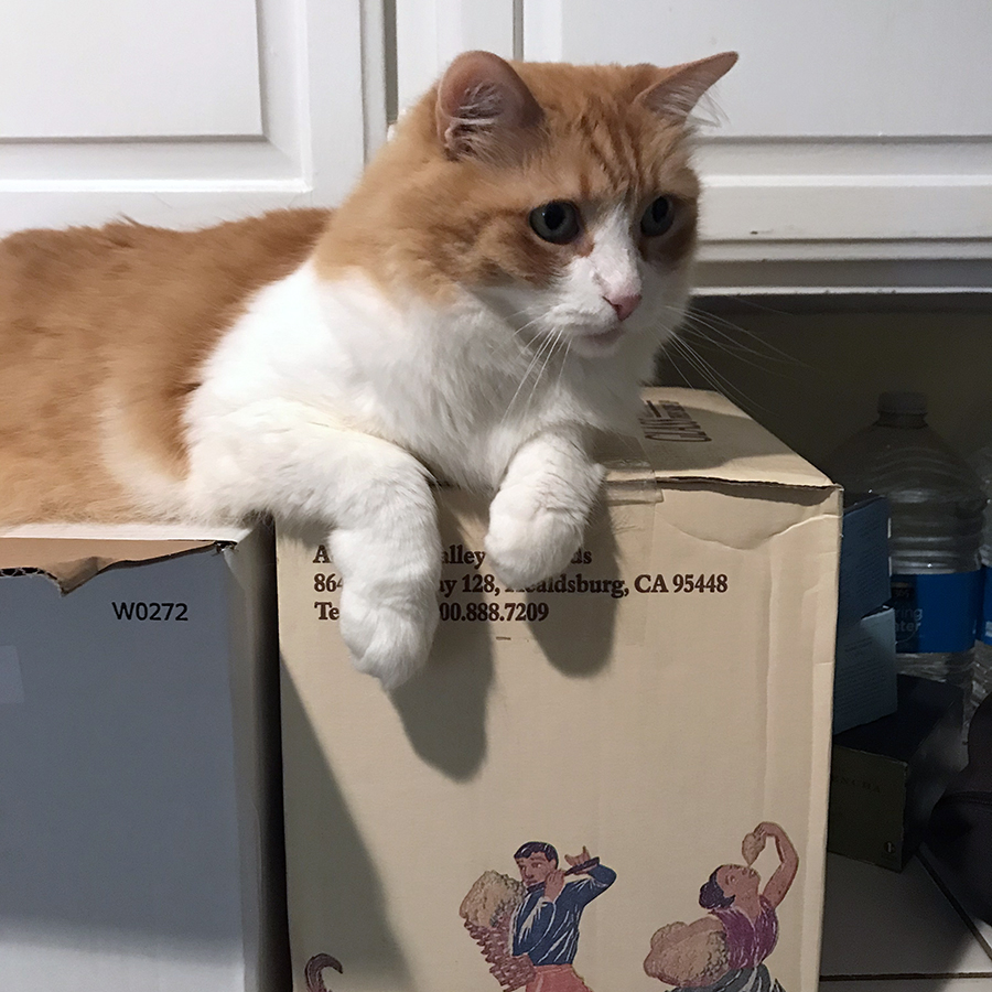 Rusty on a Box