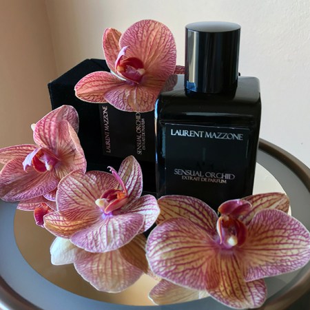 Laurent Mazzone Sensual Orchid