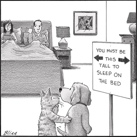 You Must Be This Tall...