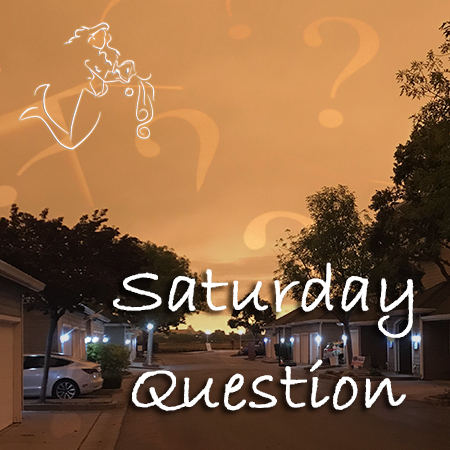 Saturday Question Hazy Bay Area