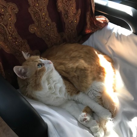 Rusty In an Office Chair