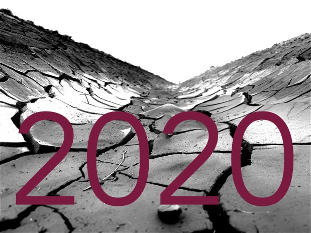 Portia’s 2020 Noted&nbsp;Things