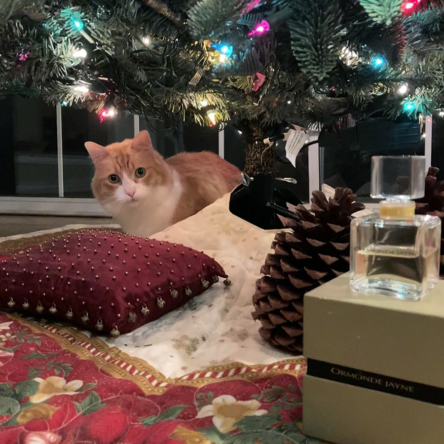 Rusty and Ormonde Jayne Ta'if Parfum