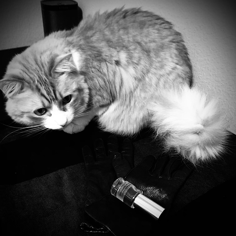 Rusty and Sixth Scents Nappa Noir