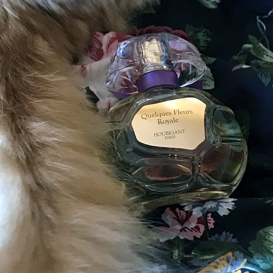 My cat Rusty's tail and Houbigant Quelques Fleurs Royale Collection Privee