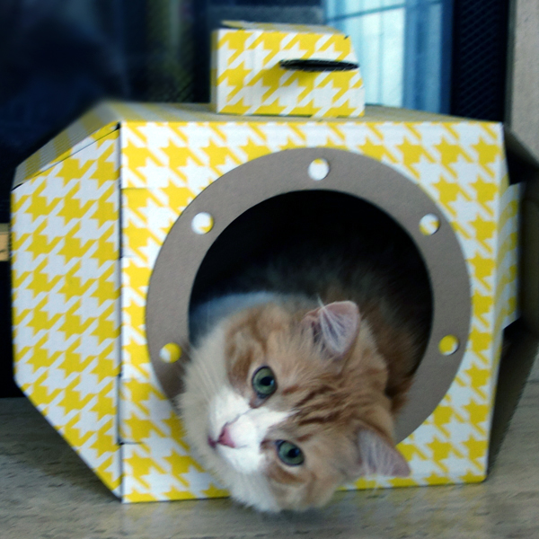 Rusty and Yellow Submarine