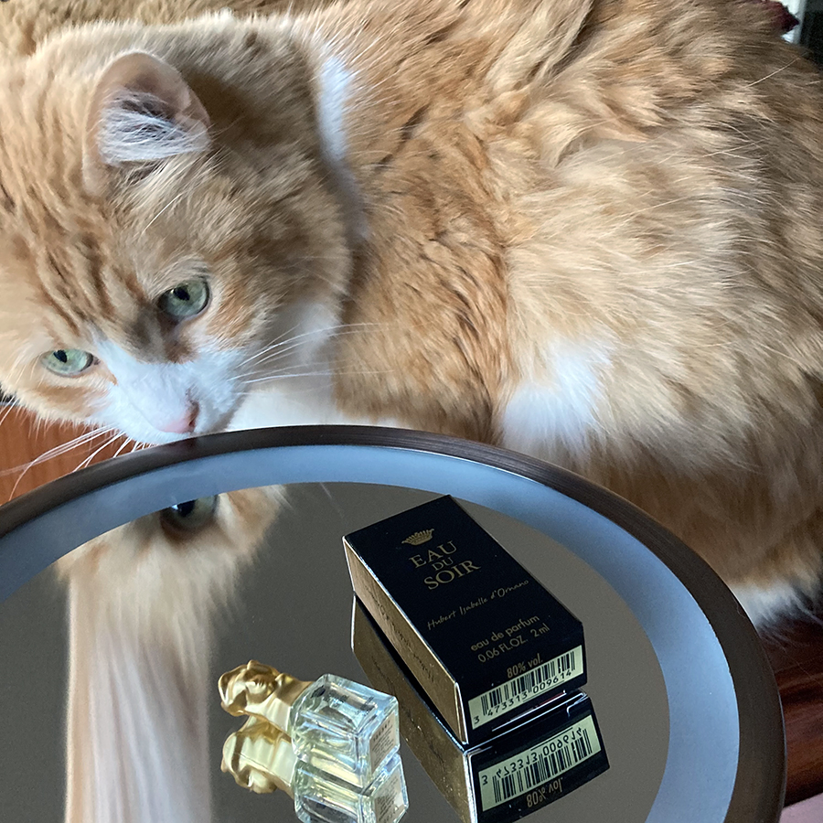 Rusty and Sisley Eau Du Soir