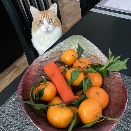 Rusty and Hermes Mandarine Ambree