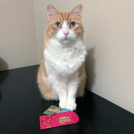 Rusty and Lottery Ticket