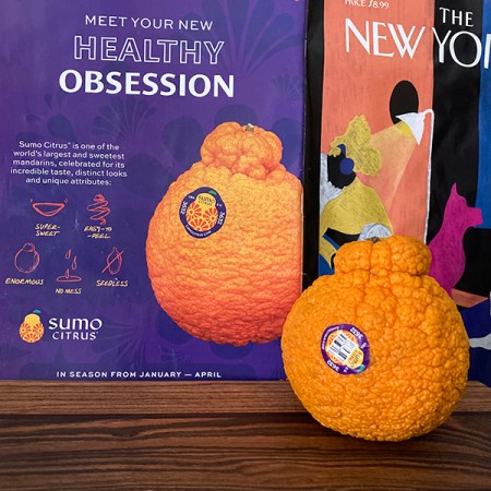 Sumo Citrus