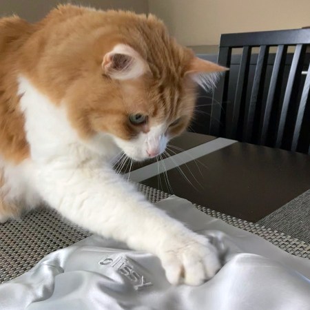 Rusty and Blissy Silk Pillowcase