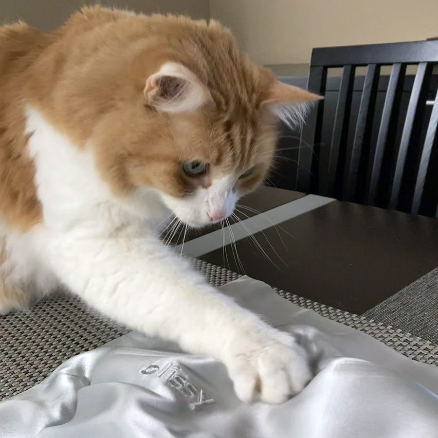 Rusty and Blissy Silk Pillowcase