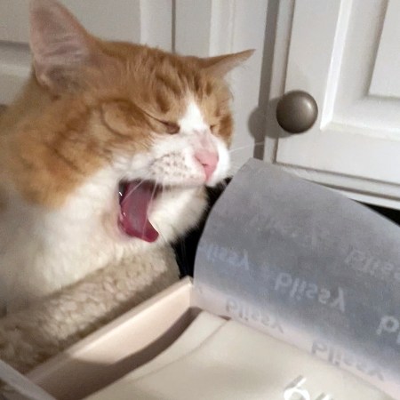 Rusty and Blissy Silk Pillowcase