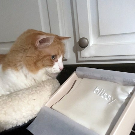 Rusty and Blissy Silk Pillowcase