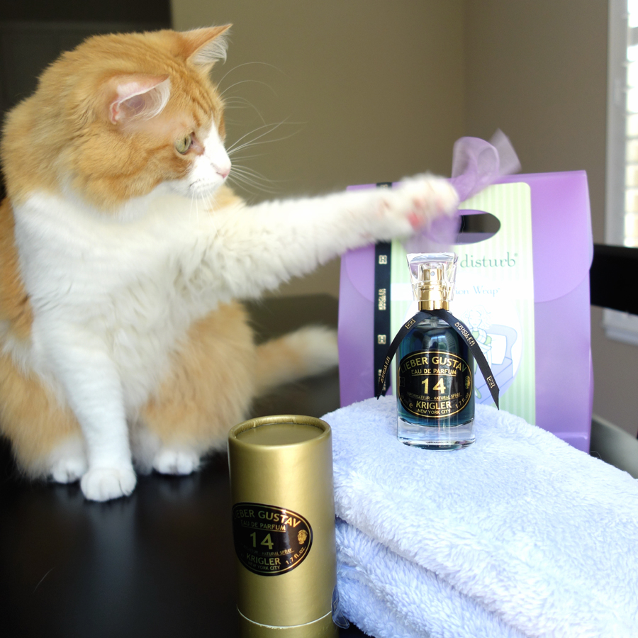 Rusty and Krigler Lieber Gustav