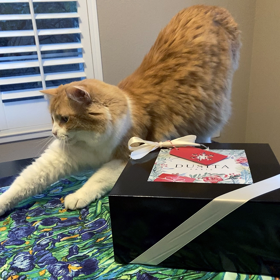 Rusty and Dusita Splenderis