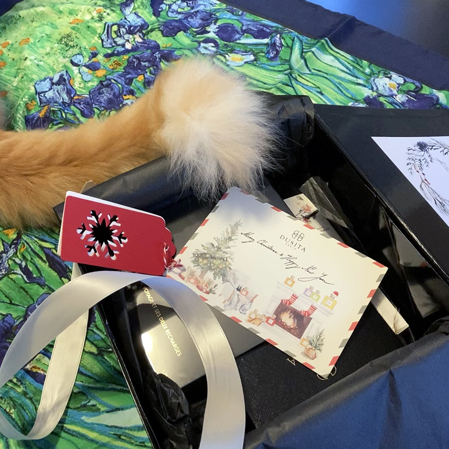 Rusty and Dusita Splenderis