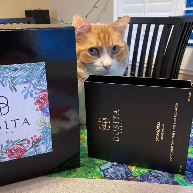 Rusty and Dusita Splenderis