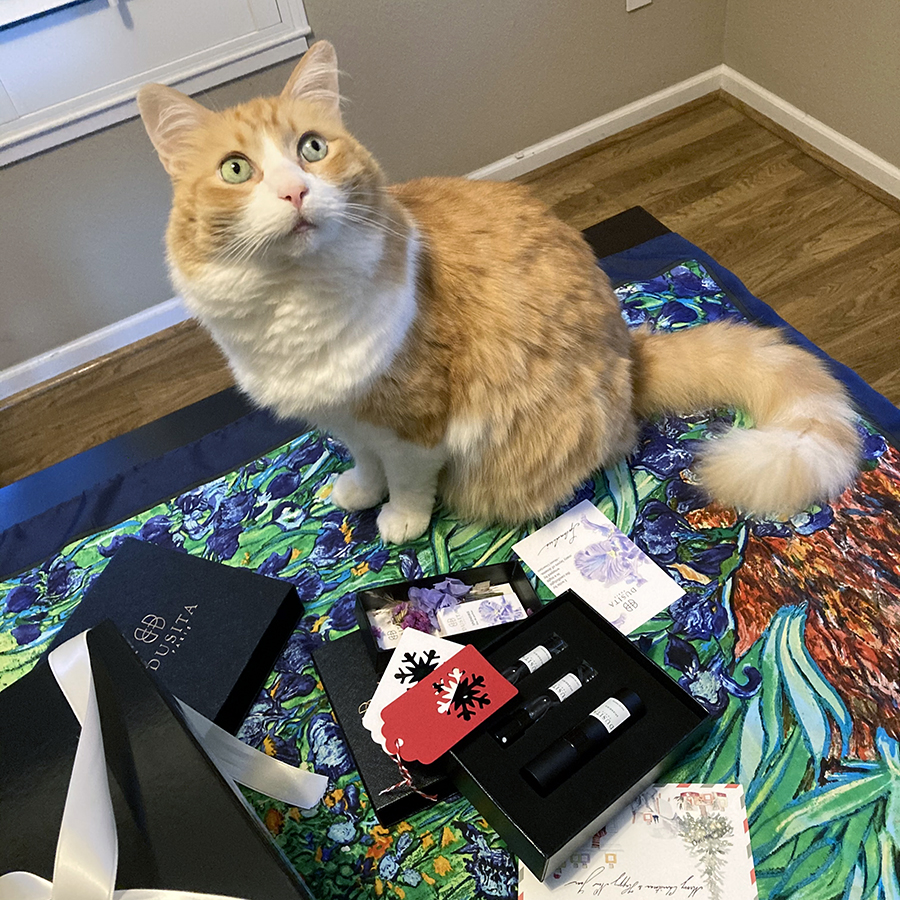 Rusty and Dusita Splenderis