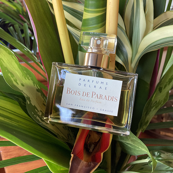 DelRae BoisDesParadis