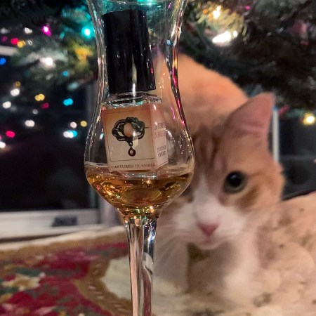 Rusty and Captured in Amber