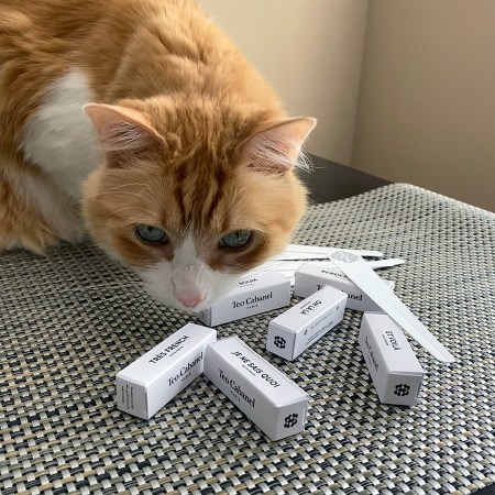 Rusty and Teo Cabanel Samples