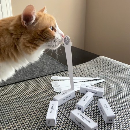 Rusty and Teo Cabanel Samples