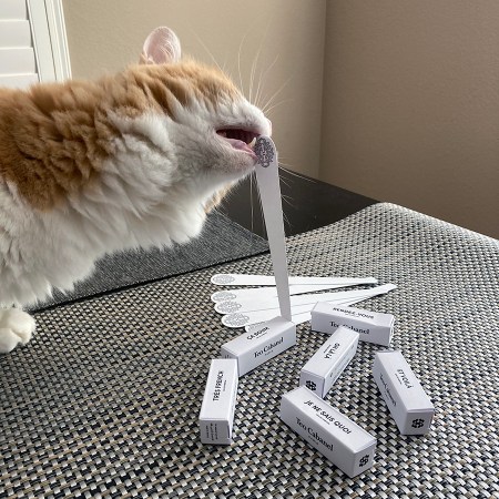 Rusty and Teo Cabanel Samples