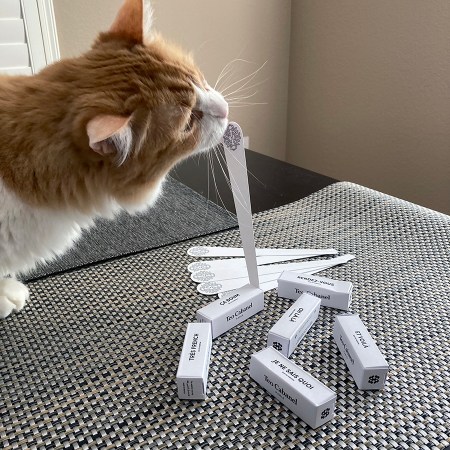 Rusty and Teo Cabanel Samples