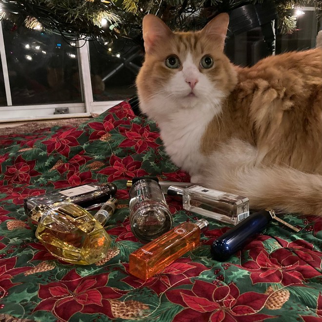 Rusty and Advent Calendar Week 2 Perfumes