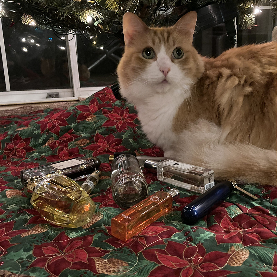 Rusty and Advent Calendar Week 2 Perfumes