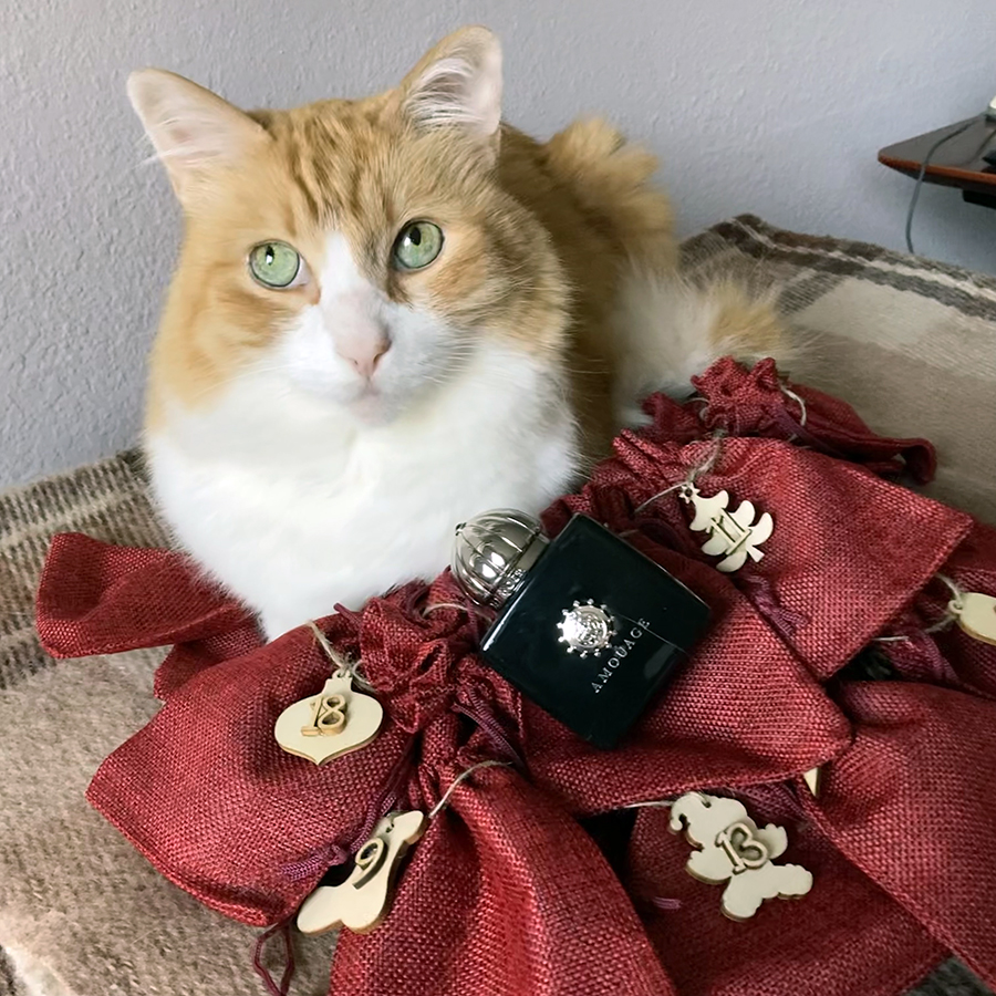 Rusty and Amouage Memoir