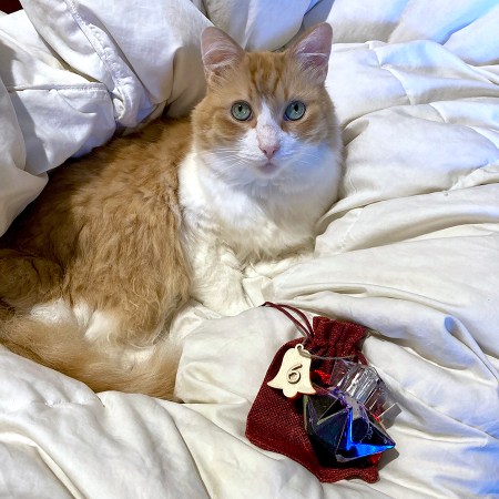 Rusty and Mugler Angel Taste of Fragrance