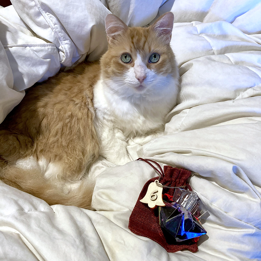 Rusty and Mugler Angel Taste of Fragrance