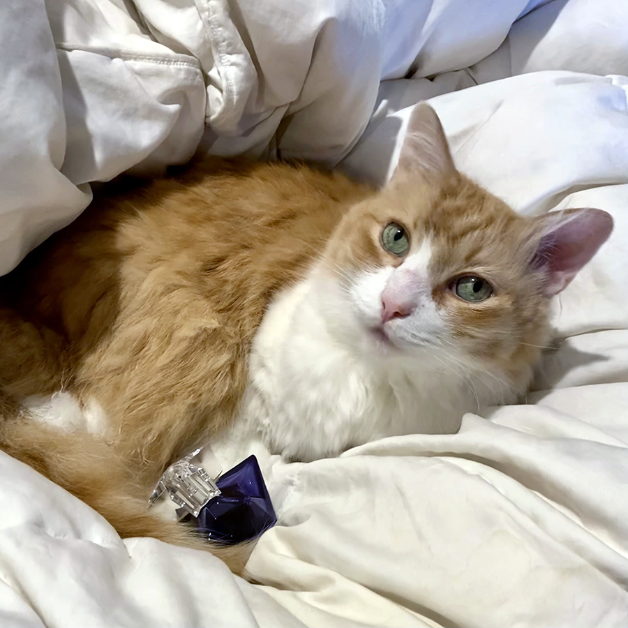 Rusty and Mugler Taste of Fragrance