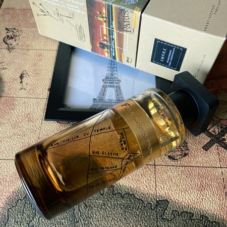 Ineke Field Notes From Paris