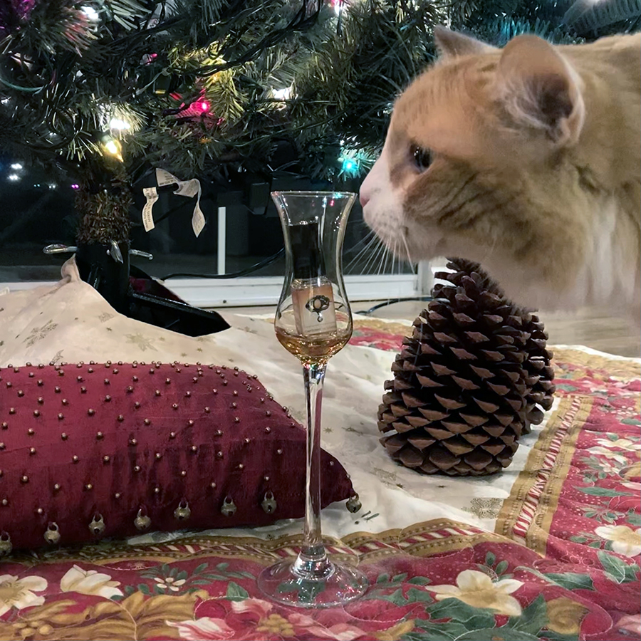 Rusty and En Voyage Captured In Amber