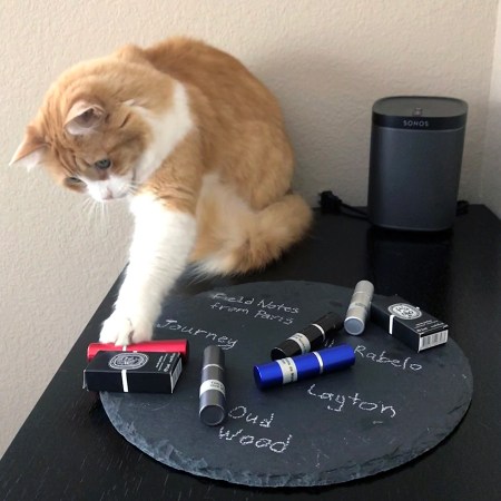 Rusty and Samples for Father