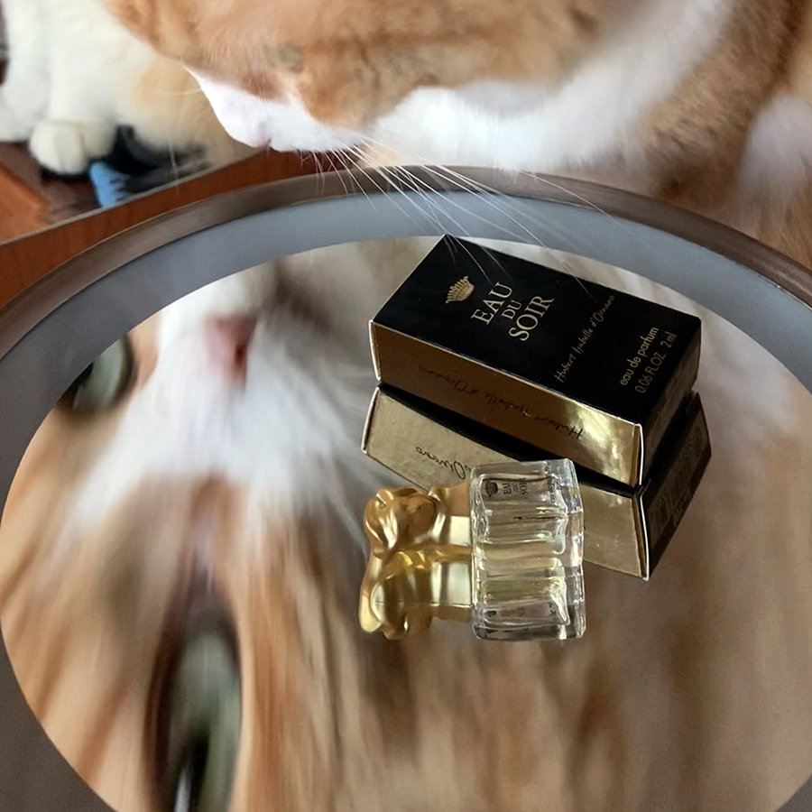 Rusty and Sisley Eau du Soir