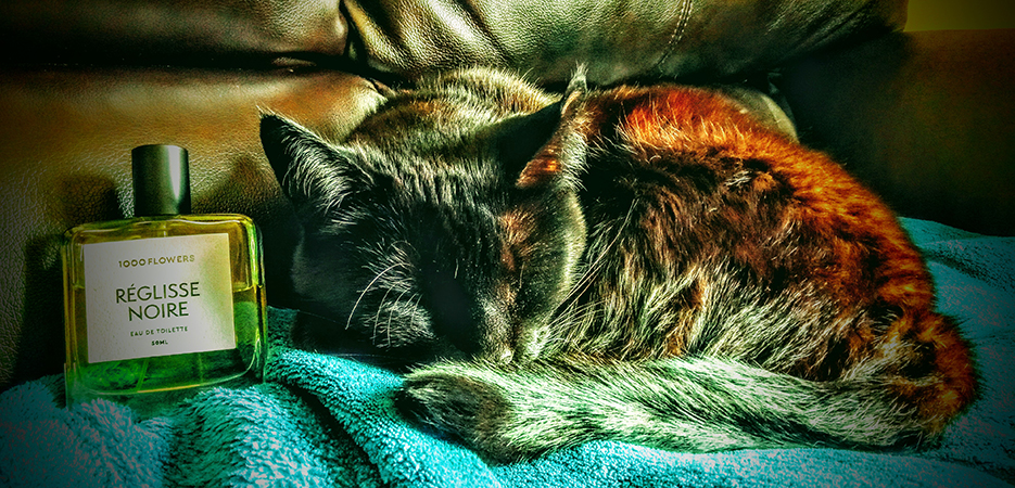 Pickles and Reglisse Noir