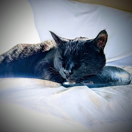 Pickles & L'Ether de INUX