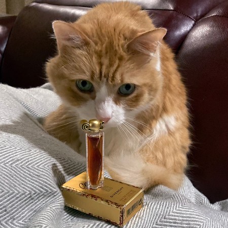 Rusty and Givenchy Organza